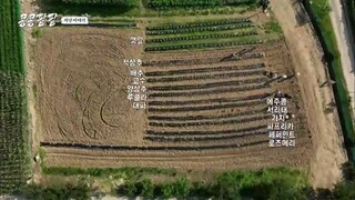 GBRB: Reap What You Sow Eps-04 ||Sub Indo