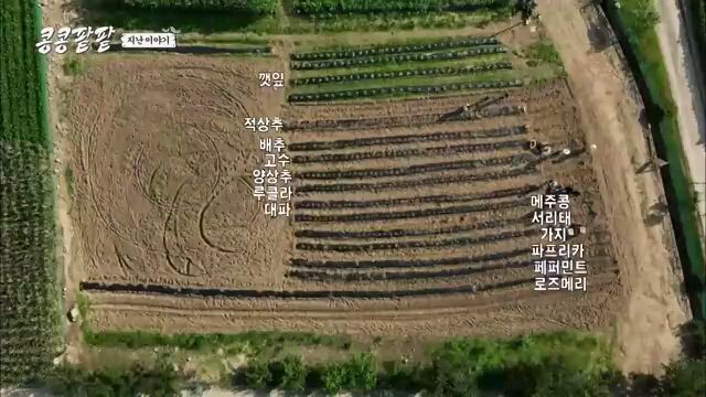 GBRB: Reap What You Sow Eps-04 ||Sub Indo