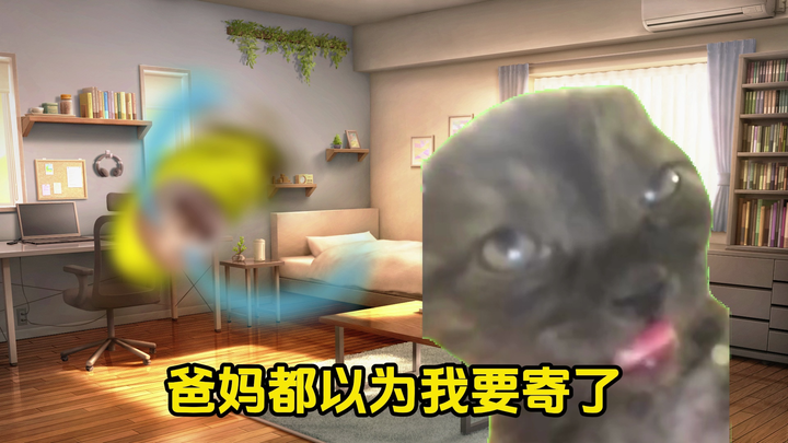 【猫meme】因病入住精神病院结果成为人气小子了