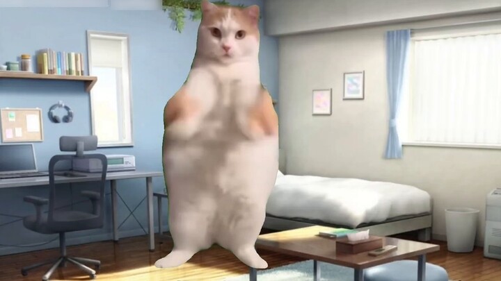 【Cat meme】The joke of the running group is that the badness of the cop pc is 100% of the ex-boyfrien