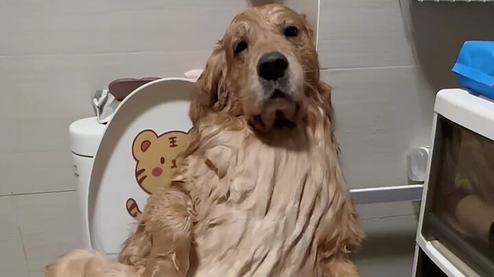 อาบน้ำแบบดื่มด่ำ ต้องมีโปรแกรมช่วย!