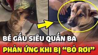 Bé Gấu SIÊU QUẤN BA và phản ứng khi bị ba bỏ rơi 😂 | Yêu Lu