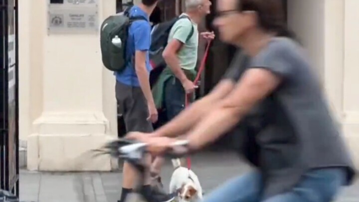 Picking passersby to pick up the ball for it