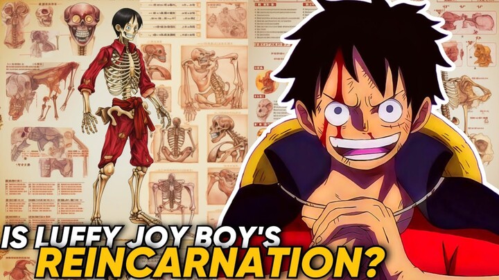 Monkey D. Luffy Anatomy Explained | Luffy Gear 5 Vs Kaido | One Piece Anime