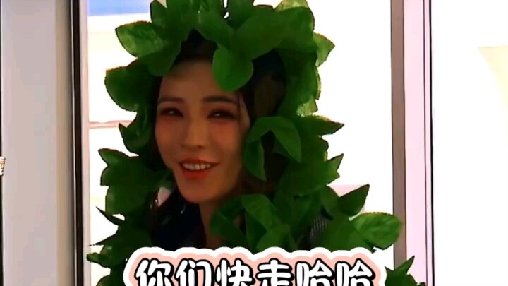 Hahaha, Zhang Yuxi sangat jago bermain petak umpet
