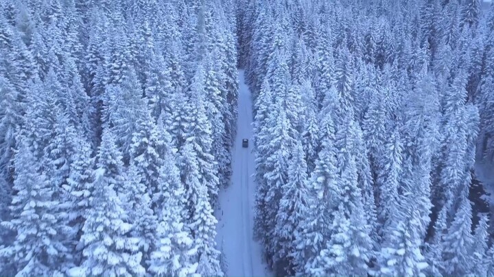 Snowy Landscape