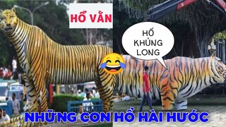 Tổng hợp những tượng hổ hài hước 🐅 - Top comments hài Face Book.
