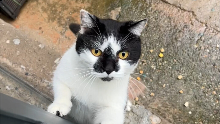 Bersemangat lari keluar, kembali dengan wajah kotor dan kecewa—hujan mendadak menghancurkan hati mud