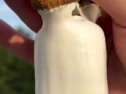 The moment I peeled off the outer skin, I was completely stunned!