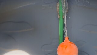 ช