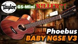 Phoebus Baby NGSE Version 3 Guitar Review and Demo