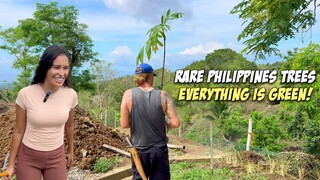 Rainy Season Has Begun PLANTITO TIME - Off Grid Farming For the Future