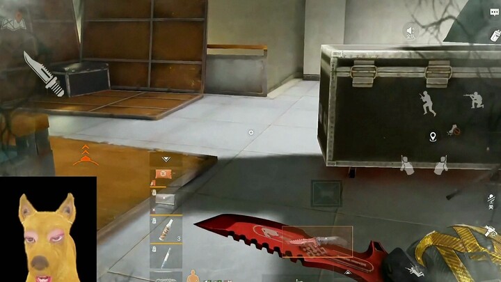 Sowing Discord in the Dark Zone