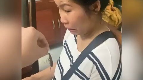 Con với chả cái