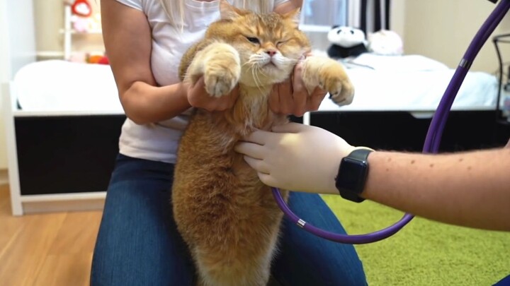 Tough guys can't cry when getting a shot!