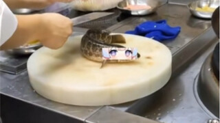 I'm careful that the sea is definitely not an eel.