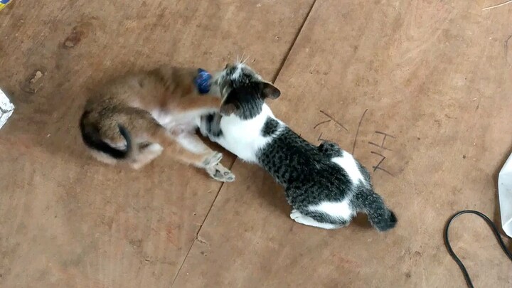 friend