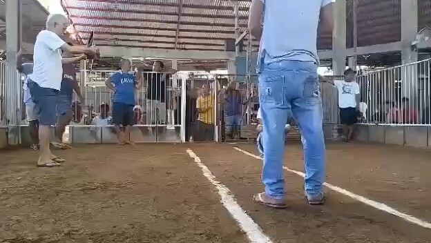 Kanawayon Rrzn Line