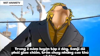 Top 7 Bộ Võ Công Quyền Cước Trong One Piece #16 4
