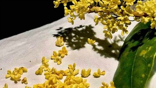 再大的困难，都会败在坚持和努力面前。