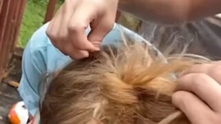 女孩头发里钻进了一只“小鼠鼠”，找了好久才把它揪出来