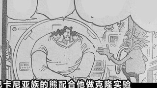 Informasi gambar lengkap One Piece Chapter 1099! Eksperimen kloning beruang tiran telah dimulai! Lim