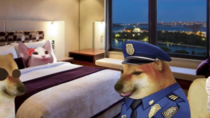 It was really a lucky coincidence.