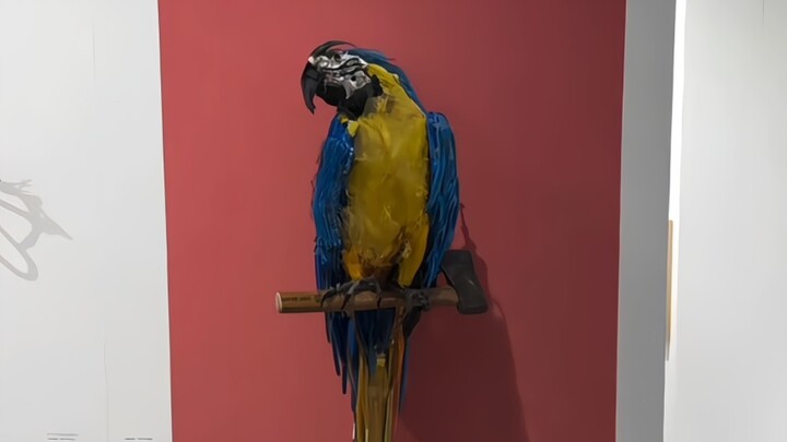 “Không có chút “vi khuẩn nghệ thuật” thì đúng là chẳng thể lướt nổi.”