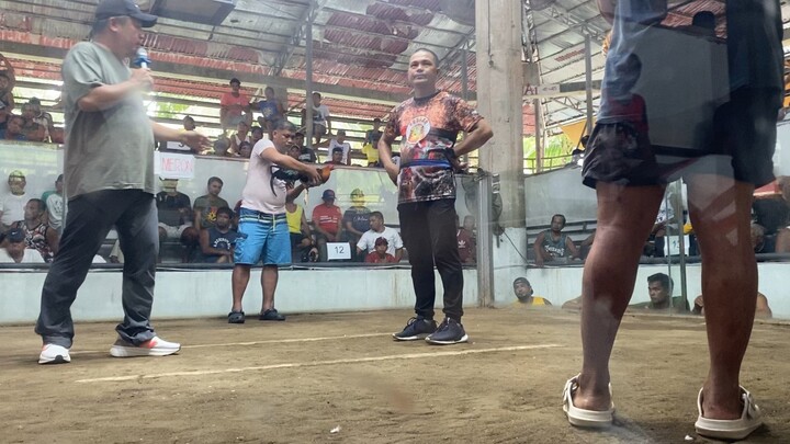 Early Bird 5 Stag Derby Champion 1st fight Gold