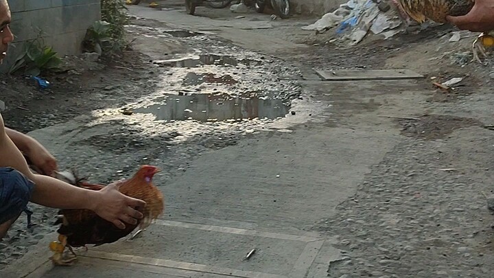 bitaw sa kapitbahay parehas bulik