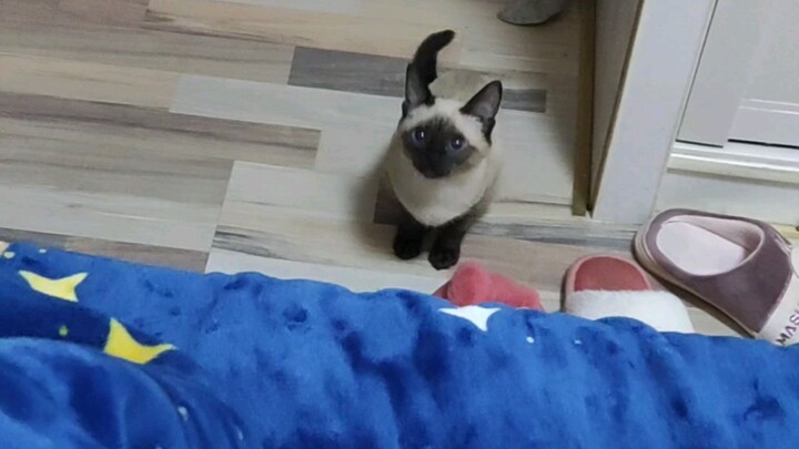 Good morning—take this punch!