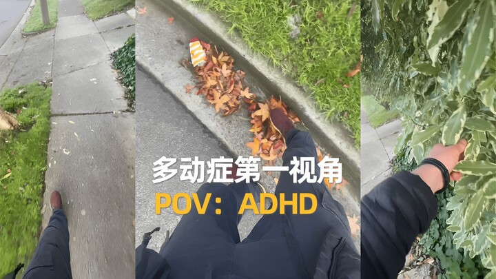 多动症第一视角 🤔