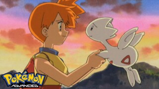 Pokémon AG Tập 321: Mặt kia của ảnh ảo! Thiên đường của Togepi! (Thuyết Minh)