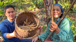 ขุดมันเทียนเอามานึ่งอยู่เถียงนา ของกินง่ายๆตอนเช้า