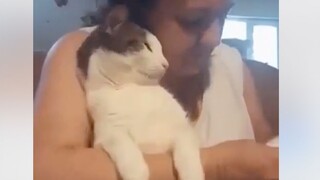 Xem mà rơi nước mắt, bạn bè nước ngoài thay tã cho chú mèo bị liệt nửa thân dưới, chú mèo đã có hành