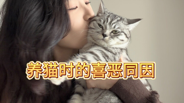 Suka dan tidak suka saat merawat kucing berasal dari alasan yang sama