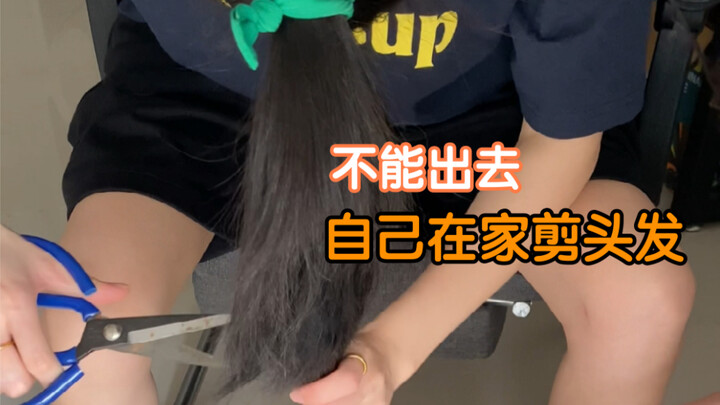 หมาแทะยังดูดีกว่าที่ฉันตัดอีก