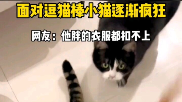 The cat is gradually going crazy #Shoulder Throw