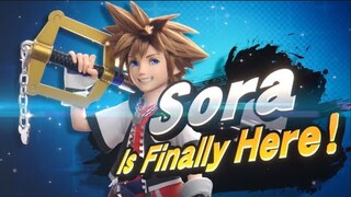 Sora is Finally in SMASH!?