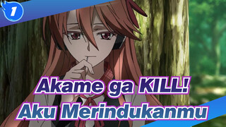 Akame ga KILL! | [AMV] Aku Merindukanmu, Chelsea_1