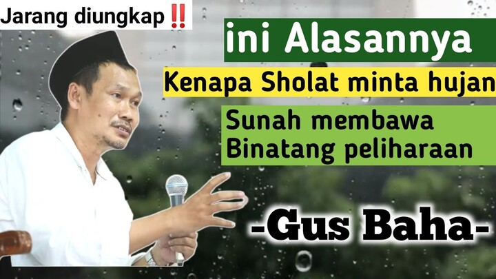 Jarang dibahas‼️ Kenapa dalam sholat Istisqo' disunnahkan membawa hewan peliharaan | Ngaji Gus Baha