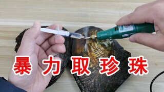 血赚还是血亏？暴力取珍珠！能值多少钱？