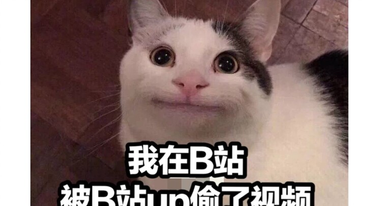 我在B站被B站up偷了视频，播放却是我百倍