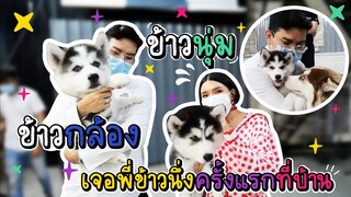 มาดูความรู้สึกวันแรกที่ข้าวนุ่มและข้าวกล้องเจอพี่ข้าวนึ่งกัน - ข้าวนึ่ง & เดอะแก๊ง