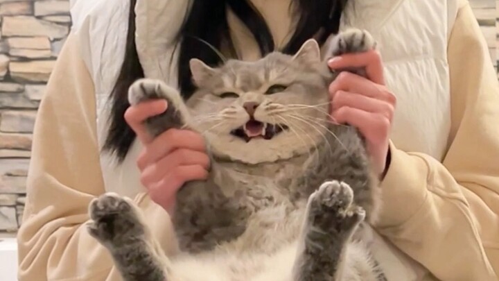 February 2: Dragon Raises Its Head; February 3: It’s Pig Pedicure Day!