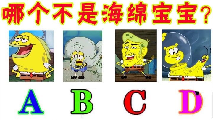 Eight questions that will make you wonder if you’ve ever watched “SpongeBob SquarePants” at all!!!