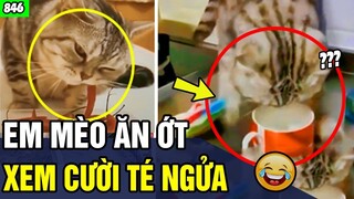 Tổng Hợp Tình Huống  "HÀI HƯỚC KHÓ ĐỠ " Xem Đi Xem Lại Vẫn Không Nhịn Nổi Cười P846 |Trùm Tin Hài