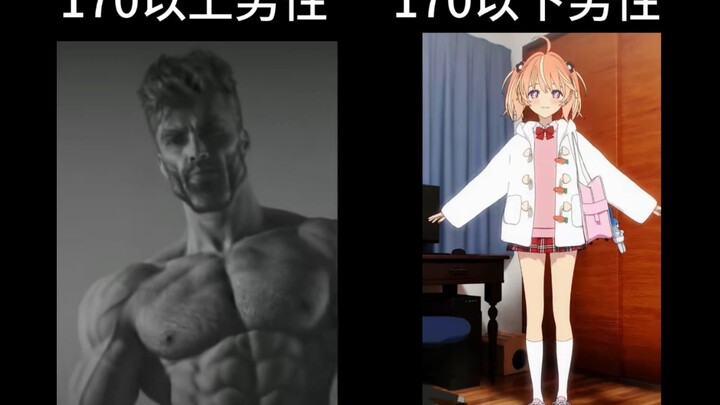 170以上VS以下(矮陀螺)