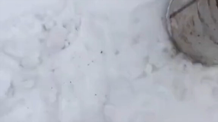 Công thức rơi tự do là gì nhỉ?