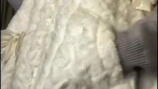 穿着毛茸茸的外套被荷兰人认作一只羊